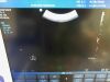 PHILIPS C5-1 Ultrasound Transducer