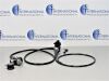 OLYMPUS GIF-H180 Gastroscope