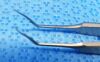 WEXLER FL0054.11 Forceps