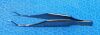 STORZ E-1466 Forceps