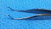 STORZ E-1466 Forceps