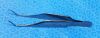 STORZ E-1464 Forceps