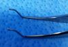STORZ E-1464 Forceps