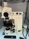 CARL ZEISS Axioplan Imaging Microscope Microscope