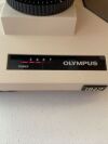 OLYMPUS BHTU Microscope