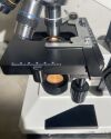 AMSCOPE (SmallAS) Microscope