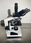 AMSCOPE (SmallAS) Microscope