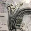 BIOLIGHT PN 15-031-0004  BLT ECG Lead cable 12pin 8A 5-lead AHA PN 15-031-0004  ECG unit
