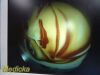 STRYKER 502-427-030 Video Rigid Telescope Arthroscope 4mmx30Ã‚Â°