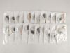 MASIMO LNCS Neo LOT 21: Neonatal/Adult SpO2 Adhesive Sensors