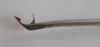 ARTHRES AR-11800 Birdbeak