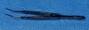 IMPEX XF392T Forceps