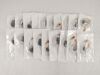 MASIMO LNCS Neo-L LOT 19: Neonatal/Adult SpO2 Adhesive Sensors