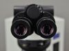 OLYMPUS BX51 Upright Microscope BX51TF w/ 40x &amp; (2) 100x Objectives - 152195 Microscope