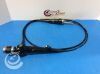 OLYMPUS BF-P60 Bronchoscope