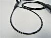 OLYMPUS BF-P20D Bronchoscope