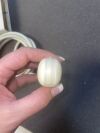 SIEMENS  C8-5  Ultrasound Transducer Model NO: 10348181 Ultrasound Transducer