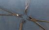 SCANLAN 9909-612 Needle Holders