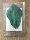 RAINBOW MEDICAL DEVICES RMD3202 Viscera Retainer Radiopaque Center Spine 5.6 x 8.5in (10/Box) (X)