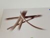 MAQUET Hemagard (K) Straight  HGK0016-40  Exp.2022-09  (J1) HGK0016-40 Hemagard (K) Straight