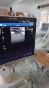 TOSHIBA PLT704SBT Ultrasound Transducer