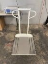 SR INSTRUMENTS SR755i Scale