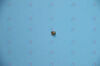 OLYMPUS 012345627362 brass Endoscopy General