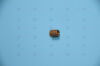 OLYMPUS 358719869471 Knurled Nut A Endoscopy General