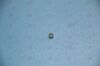 OLYMPUS 2789108190397 Inner Ring B Endoscopy General