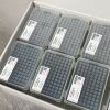 LABSELECT FT-10-R-S Filter Tips, 10 uL, Racked, Sterile, 96 Tips/Rack - 10 Racks/Unit