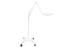 BURTON NXFL Exam Light