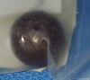 DEPUY 2530-92-000 Trial Ball