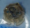 AESCULAP FM920T Screws