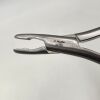 Set of 4 Miscellaneous Surgical Rongeurs (Cranial Adson, Luer, etc)