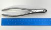 KLS MARTIN 09-0466 Walter Lorenz Dental Cryer Forceps