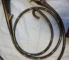 FUJINON EC-530FL Colonoscope