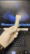 SAMSUNG PE2-4  Ultrasound Probe