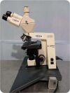 Used CARL ZEISS Axiostar Plus Binocular Microscope For Sale - DOTmed ...