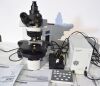 OLYMPUS BX61 Trinocular Motorized Lab Microscope with 3 Objectives & Controller Microscope