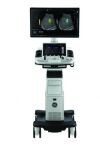GE Logiq P10 Ultrasound - Cardiac - Vascular