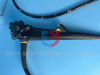 OLYMPUS SIF-Q180 Gastroscope