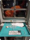 THERMO ELECTRON HERACELL 240 Incubator