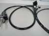 OLYMPUS SIFQ180 Enteroscope