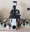OLYMPUS IX70 ICSI Microscope with Narishige IVF Setup Microscope