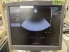 SIEMENS/ACUSON 4V1C Sector Probe Ultrasound Transducer