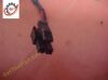 BECTON DICKINSON 920-5042 24VDC Rear Cooling Fan Tested Blood Analyzer