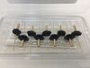 KERR ENDODONTICS 972-2500 Elements Gutta Purcha Cartridge, Set of 9 Pieces Exp 2020 C1623
