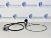 OLYMPUS GIF-XP180N Gastroscope