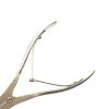 OLYMPUS REF WT440500  scissors, As Caplan serrated,Angled Size 220