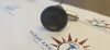 KARL STORZ 10020 ATA Hopkins II Telescope 0 degrees 2.9mm x 30cm Autoclavable